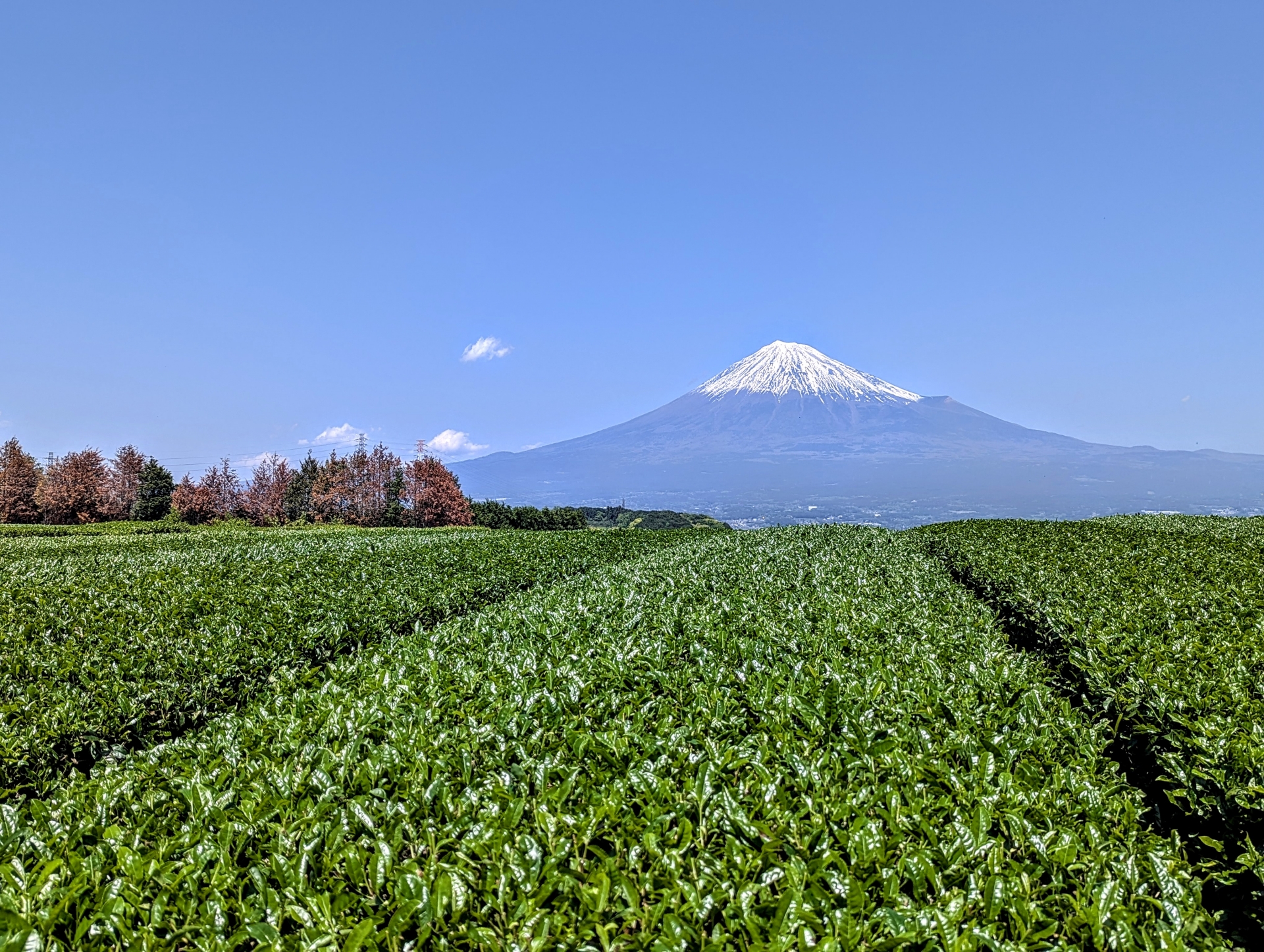 【施工エリア拡大】富士市での家づくりをスタートしました！